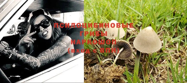 ГАЛЛЮЦИНОГЕННЫЕ ГРИБЫ Краснотурьинск